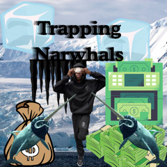 Trapping Narhwals