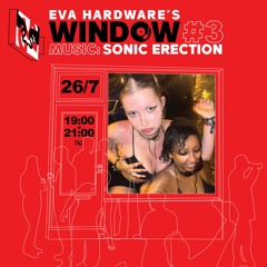 WINDOW #3: SONIC ERECTION