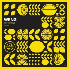 WRNG - President (Original Mix)[LEMONJUICE REC]
