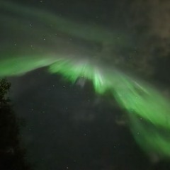 Vibratory fields (demo)