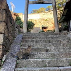 野生のシルエット