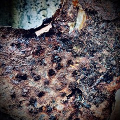 Experimentally Inspiration Ride