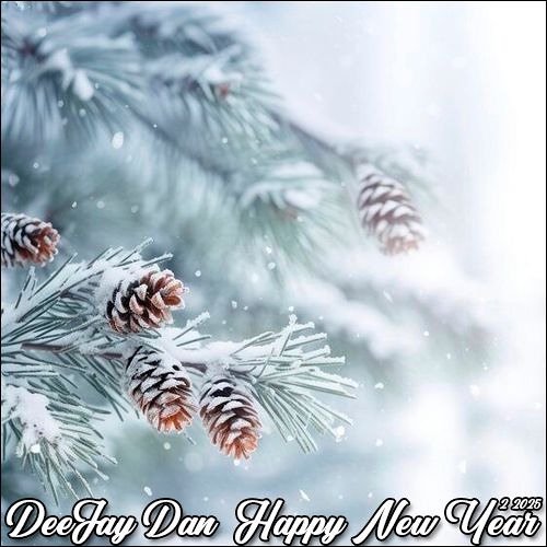 DeeJay Dan - Happy New Year 2 2025