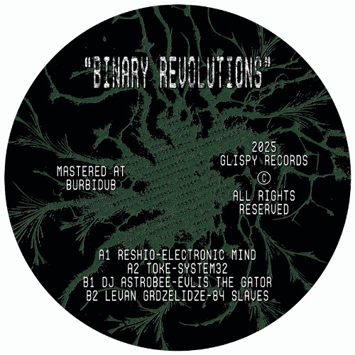 Premiere : Reshio - Electronic Mind (GLSPV001)