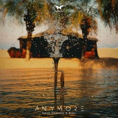 Dave Andres, Riel - Anymore