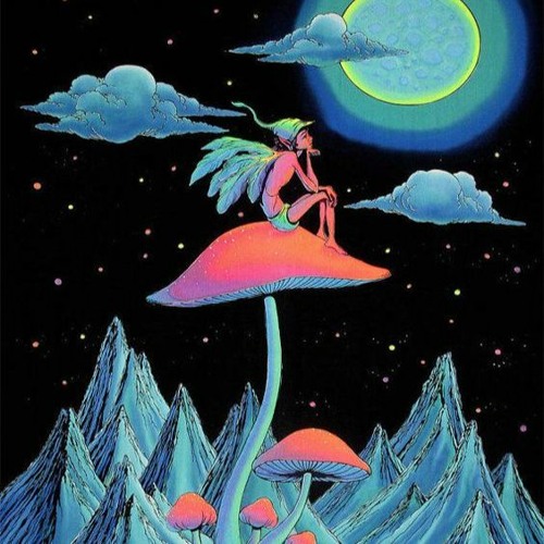 The Origins Of Our Coding [200-220]