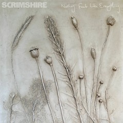 Nothing Feels Like Everything