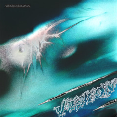 In the Fields - Vision II (Visioner Records)