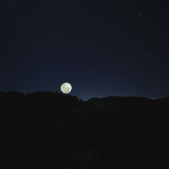 Binaural Dummy Head Berignone Forest Nature Reserve Field Recording Night Session 10/7/2025
