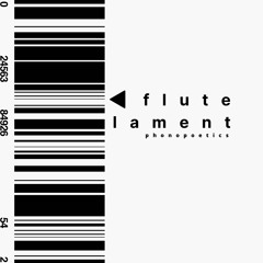 Flute lament