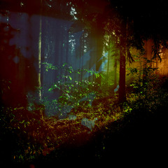 Wake One Day to Find