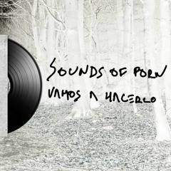 Sounds Of Porn - Vamos A Hacerlo