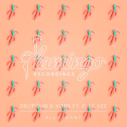 All I Want (Extended Mix) [feat. Elle Vee]