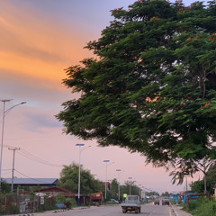 ᠳᠠᠯᠠᠢ