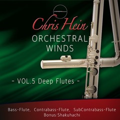 CH - Deep Flutes "Arctic Wind"