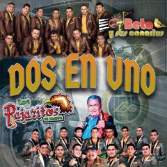 Noche Eterna