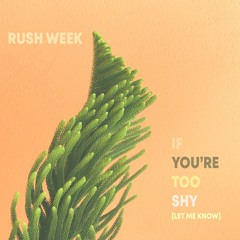 If You're Too Shy (Let Me Know) 1975 Cover