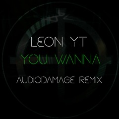 Leon YT - You Wanna (AudioDamage Remix)(Explicit)
