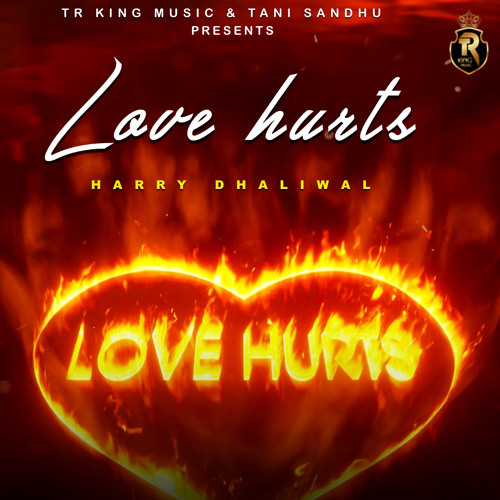 Love Hurts - Harry Dhaliwal - TR King Music