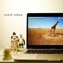namib sabaq