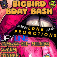 Big Birds Babas Birthday Bash 2025