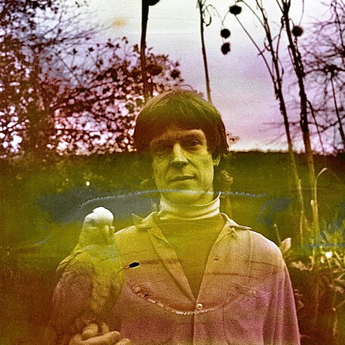 Future Bubblers with Forest Law - 26 June 2024