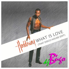 Haddaway X Funsko - What Is Love (djbugo Disco House Edit)