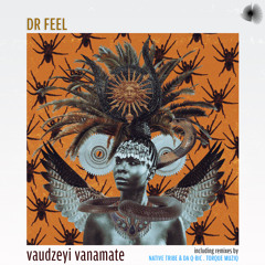 Vaudzeyi Vanamate (Native Tribe & Da Q-Bic Inhuman's Remix)