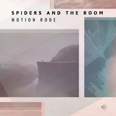 Spiders And The Room