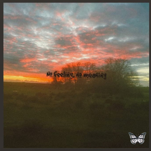 No feeling, no meaning (feat. Weepings)