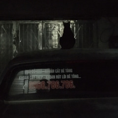 Bat Che Do Bay Len Tbynz