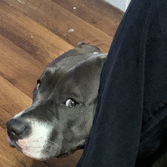 Maxie Kain “Balance”