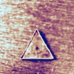 Upcoming Winter Rondo