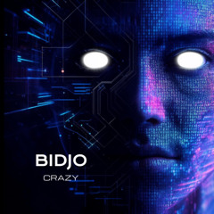Bidjo - Crazy (Original mix)