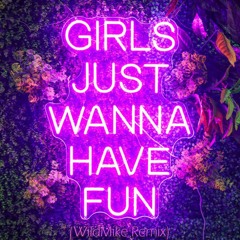 Girls Just Wanna Have Fun (WildMike Remix)