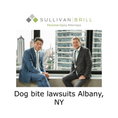 Dog bite lawsuits Albany, NY
