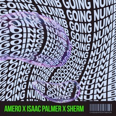 Amero x Isaac Palmer x Sherm - Going Numb