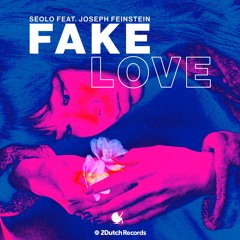 Fake Love (feat. Joseph Feinstein)