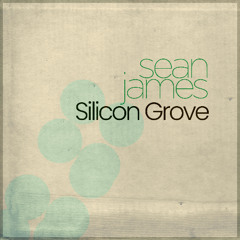 Silicon Grove