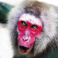 mononokenonomo - Martires