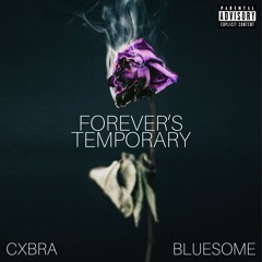 Forever's Temporary (ft. Bluesome)