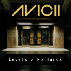 Avichi| Levels x No Hands