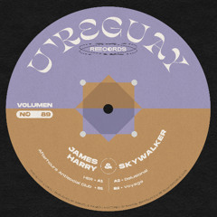 PREMIERE: James Harry - Afterhours Antisocial Club [U're Guay Records]