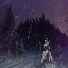 STARS ii prod SAPJER