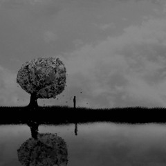 Another Imperfect Webinar