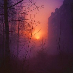 Auf Wiedersehen, Paris