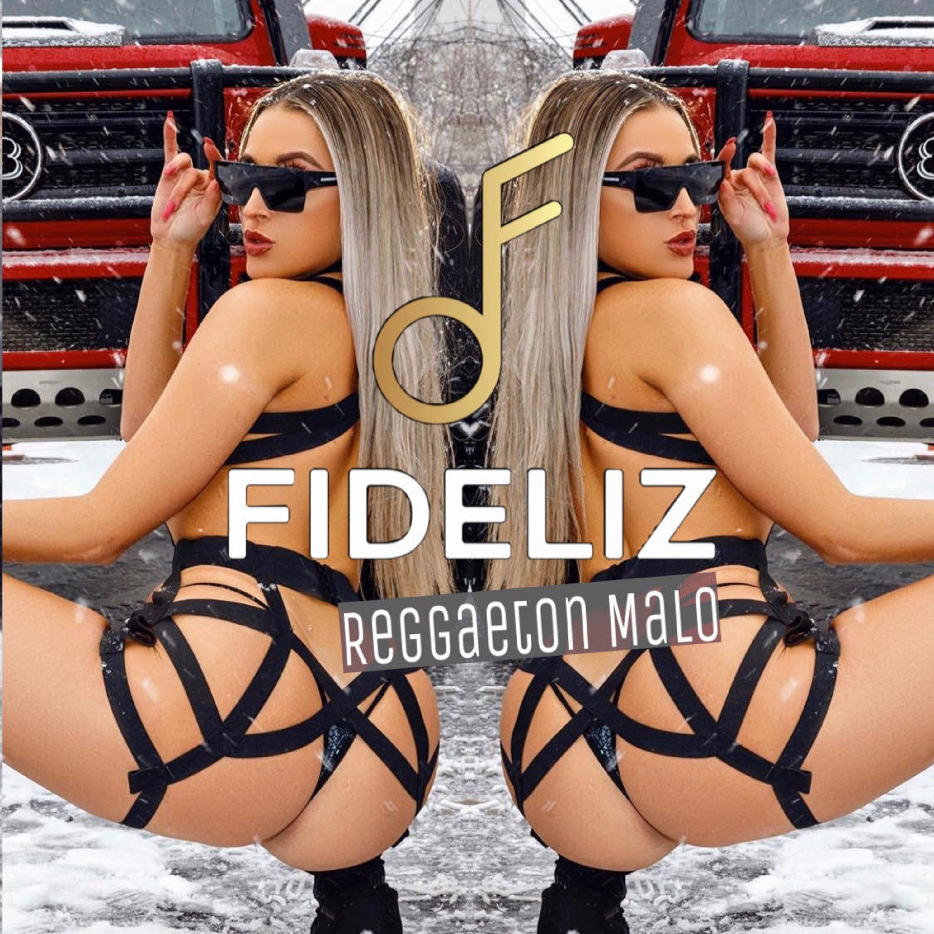 FIDELIZ ▲