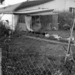 Hardware Jam Extract ....