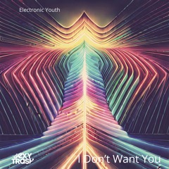Electronic Youth - I Don't Want You (Original Mix)