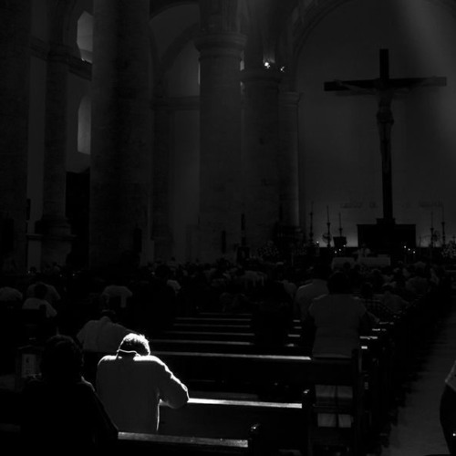 “Didn’t mean it” SONE2T